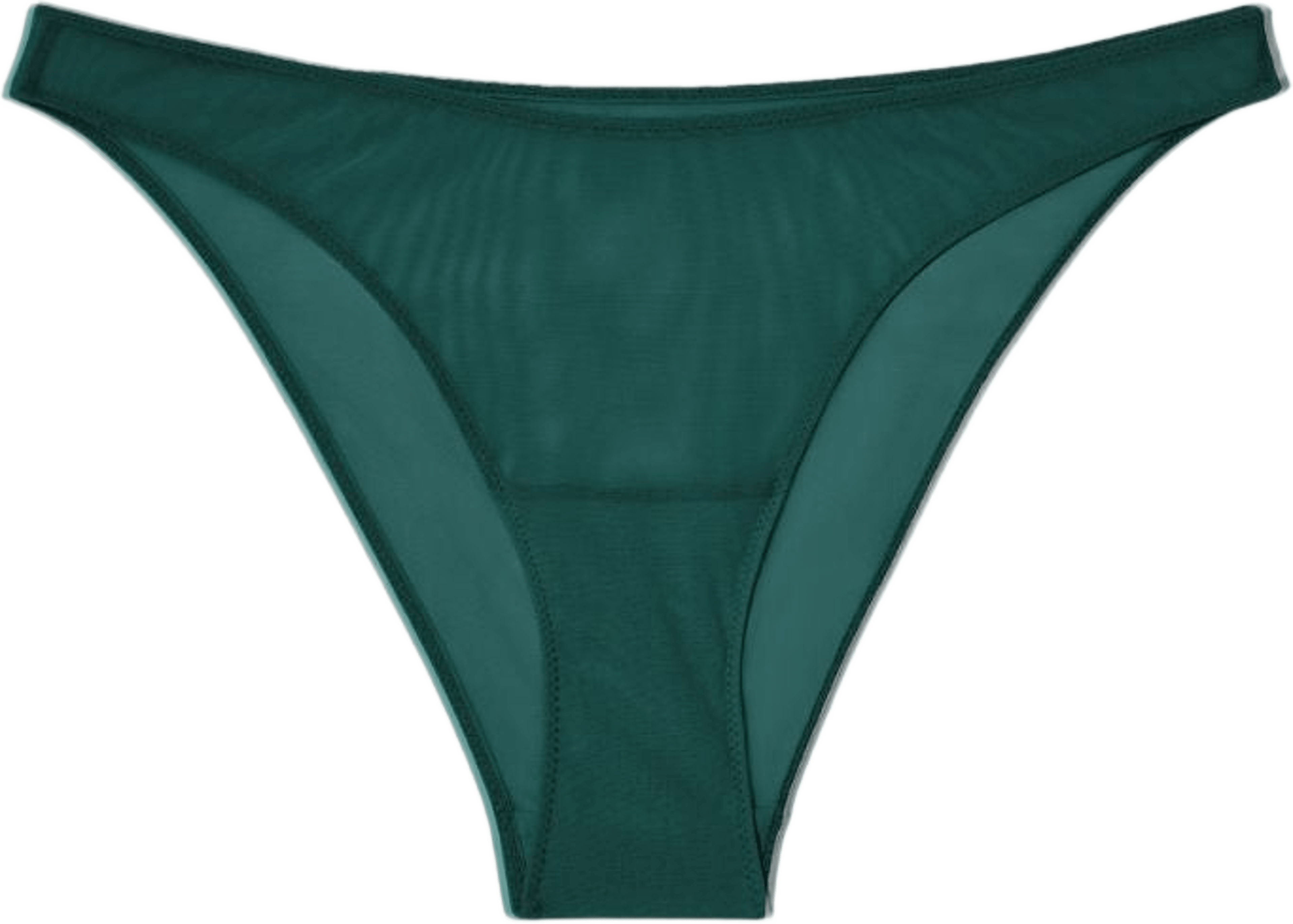 Mesh Bikini Briefs
