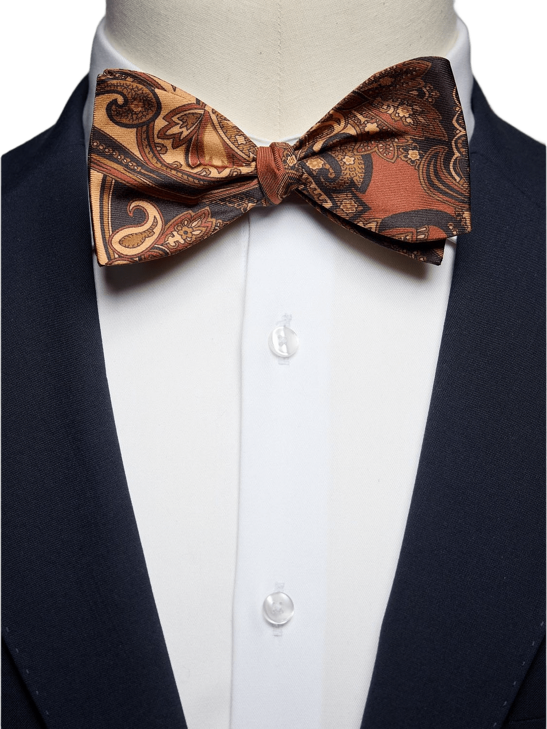 Bow Tie Paisley
