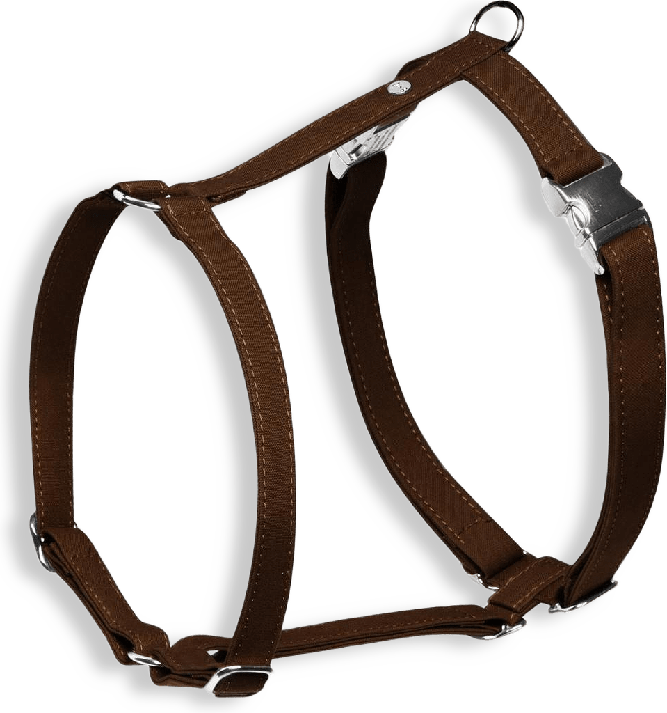 Hundsele Signature Go Chocolate - Denjo Dogs