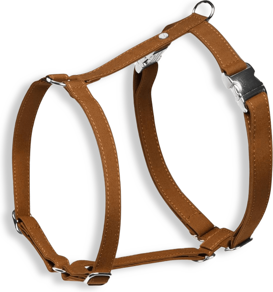 Hundsele Signature Go Chocolate - Denjo Dogs