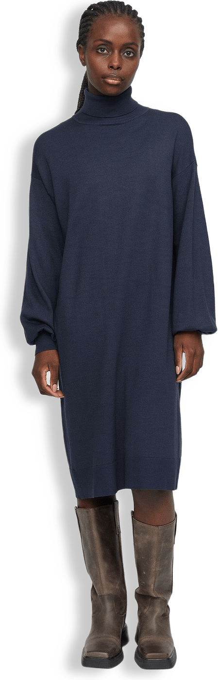 Srlea Rollneck Dress Knit