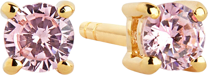 Örhänge Princess Round