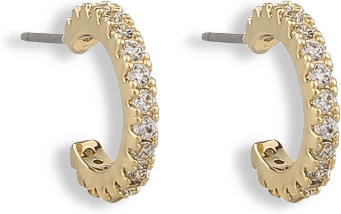 Clarissa Small Oval Earring