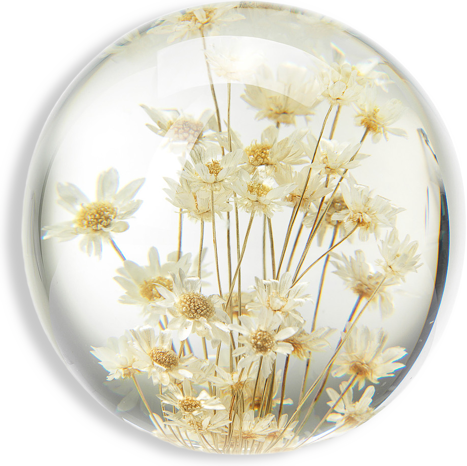 Fleur Pappersvikt, Brevtyngd