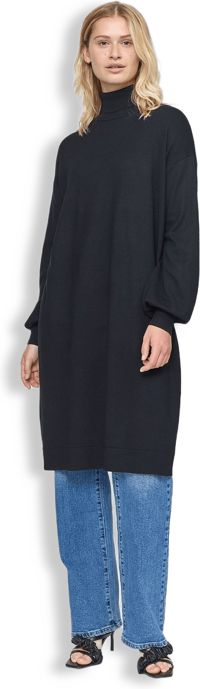 Srlea Rollneck Dress Knit