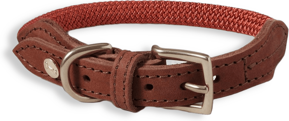 Hundhalsband Torekov