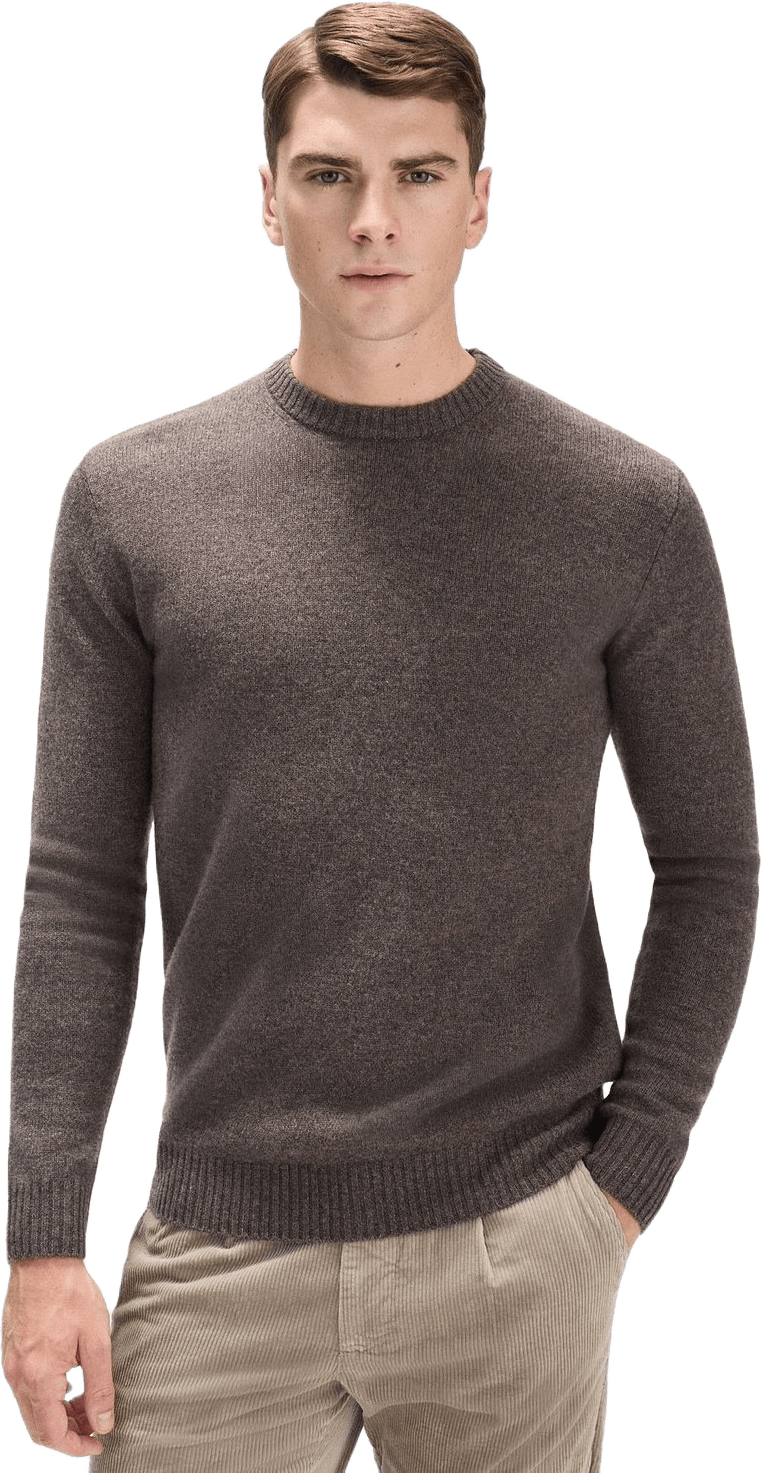 Brown Cashmere Blend Sweater Carl