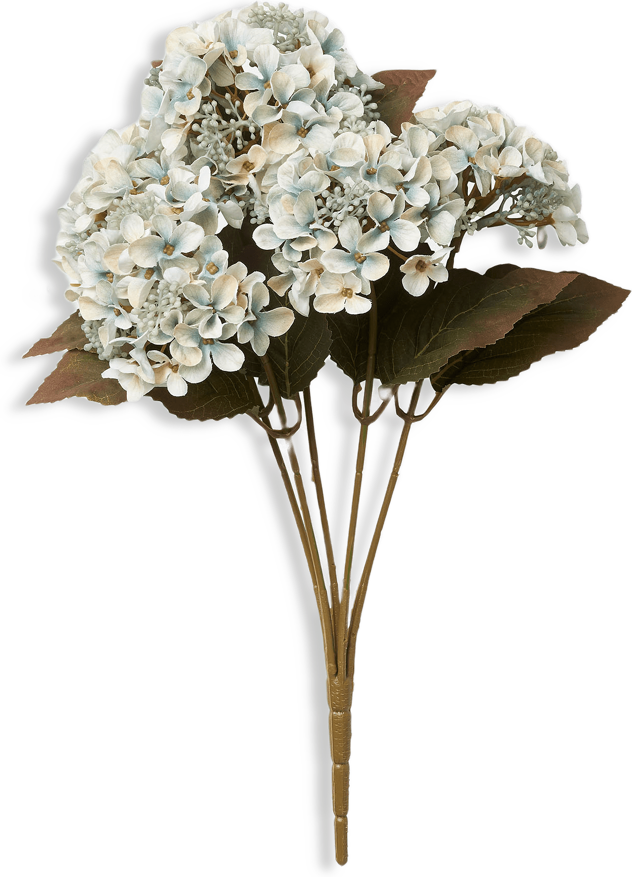 Konstväxt hortensia 5 st