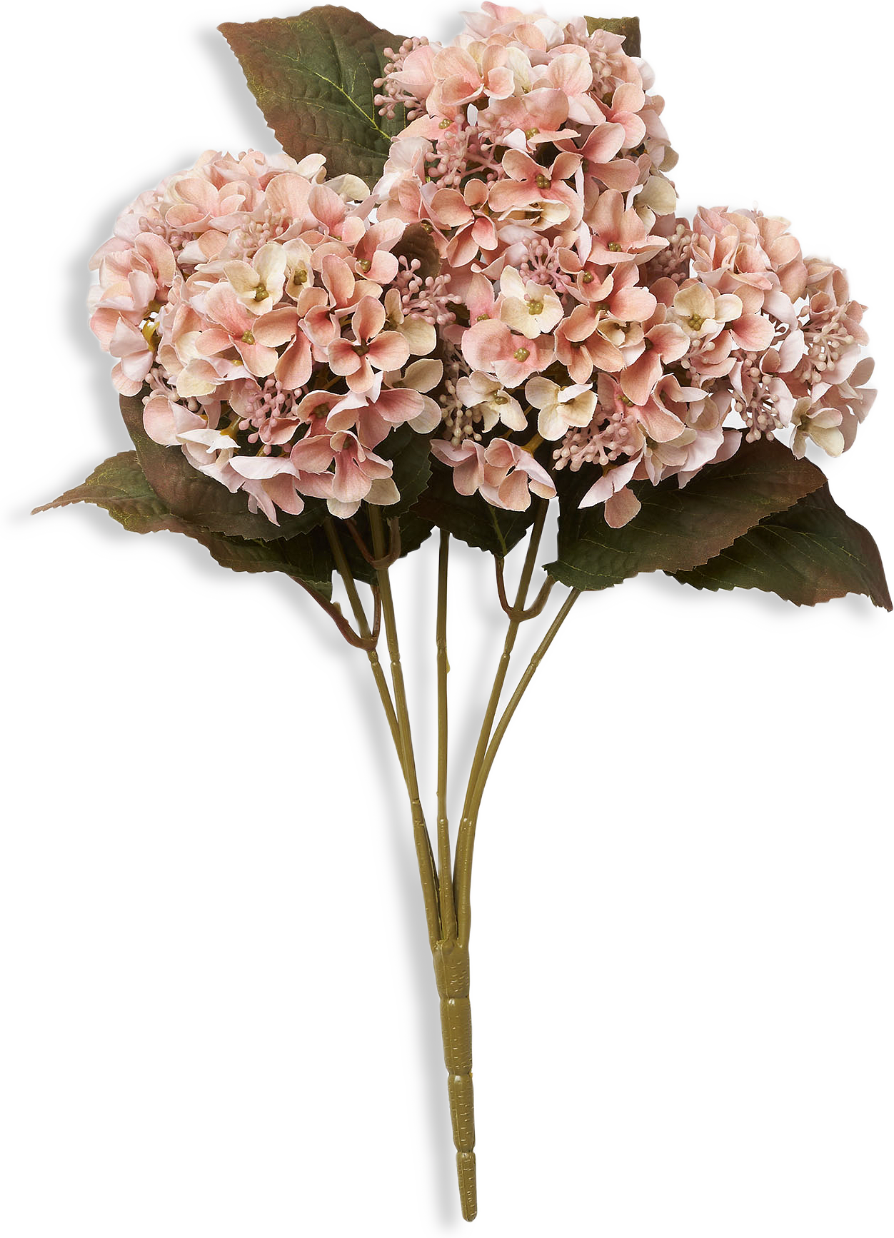 Konstväxt hortensia 5 st