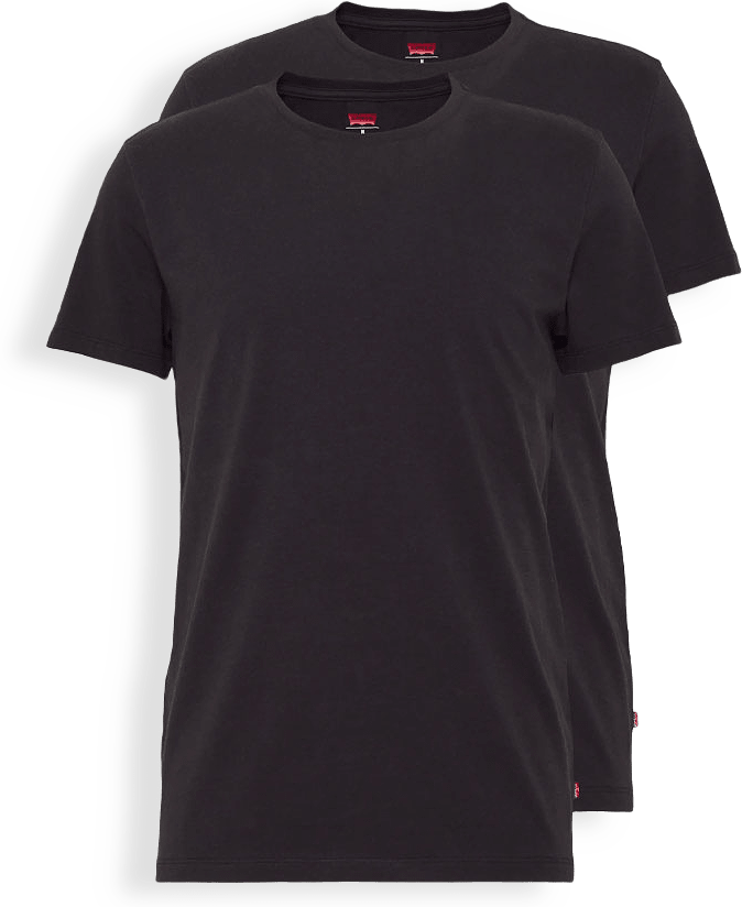 Solid Crew T-shirt i 2-pack
