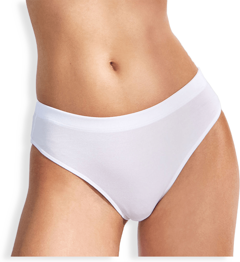 Brief