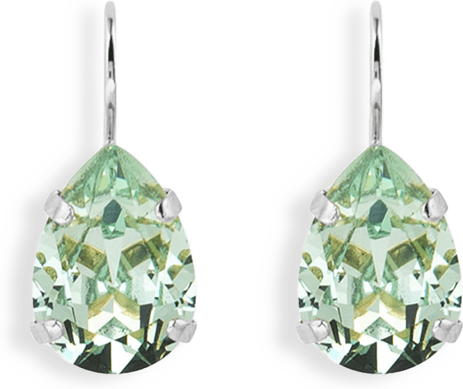 Mini Drop Clasp Earrings