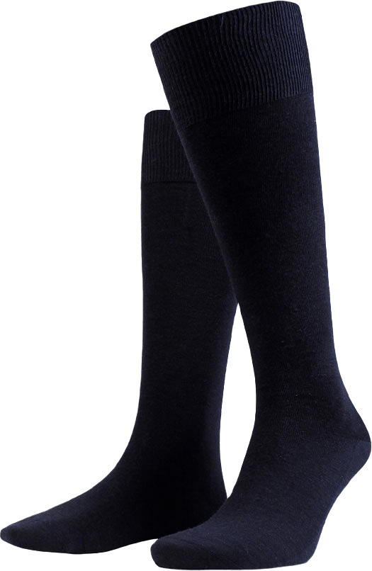 Icon Knee High Sock