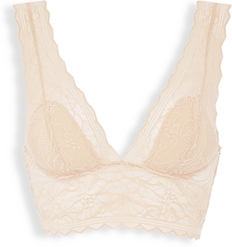Floral Touch Wirefree Bra