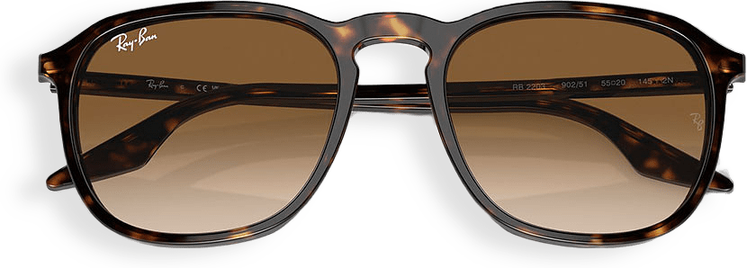 Ray-Ban 0Rb2203