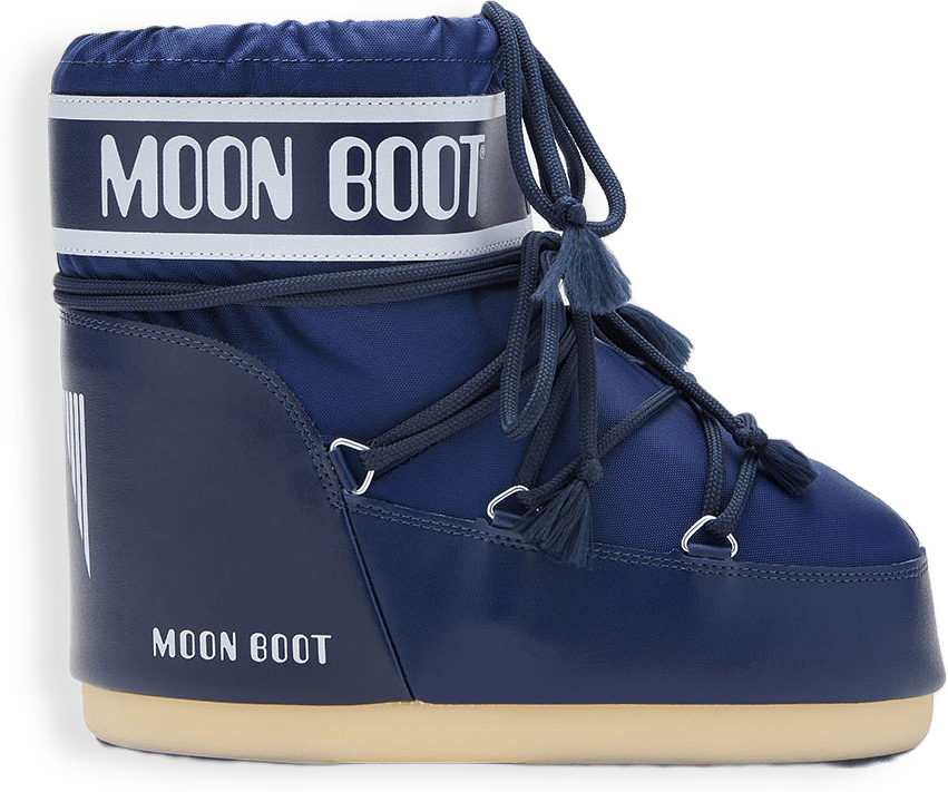 Icon Low Nylon