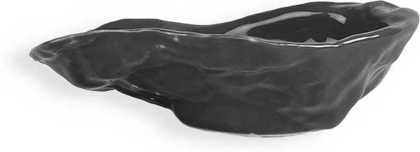 Skål Oyster