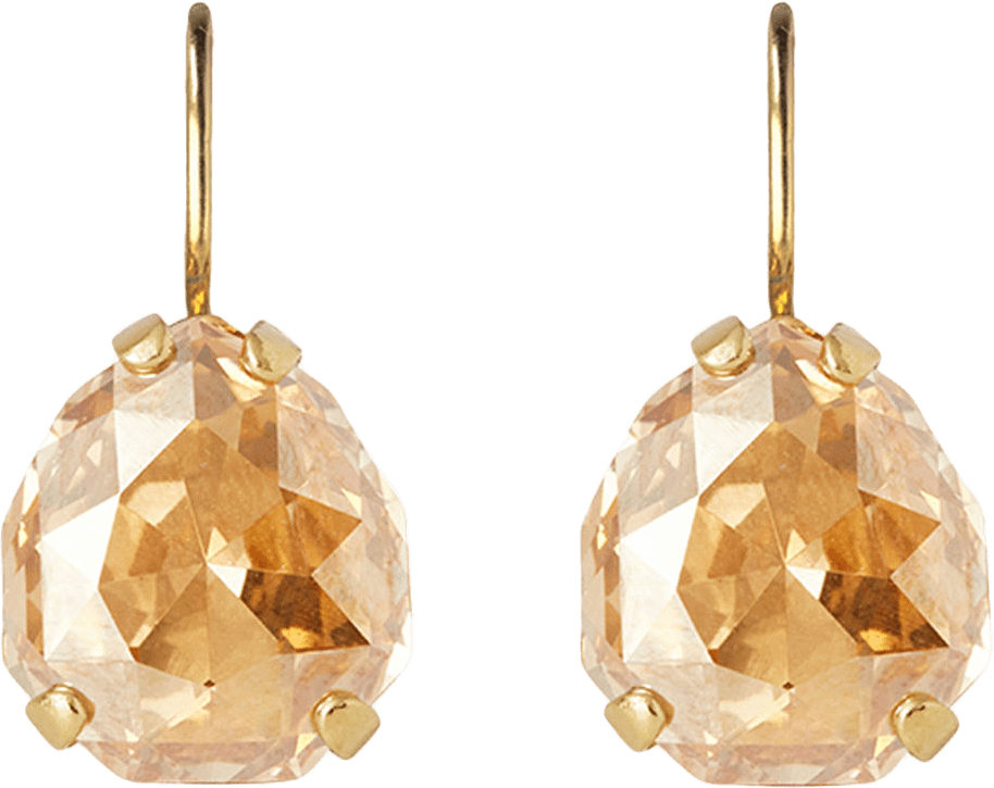 Carlotta Clasp Earrings