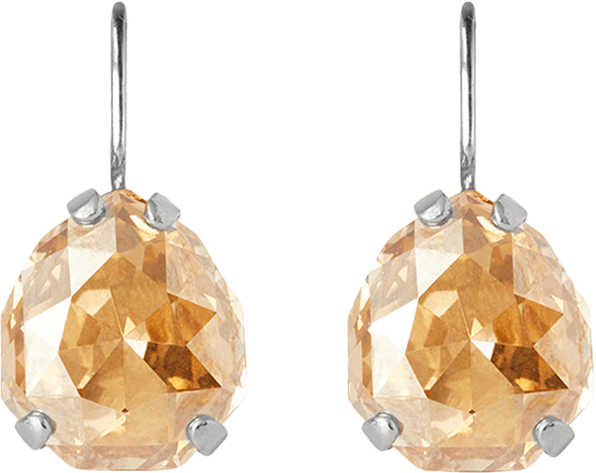Carlotta Clasp Earrings