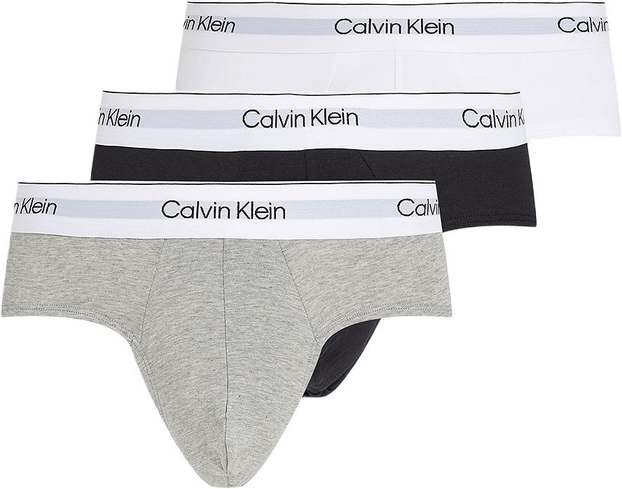 Hip Brief 3-pack