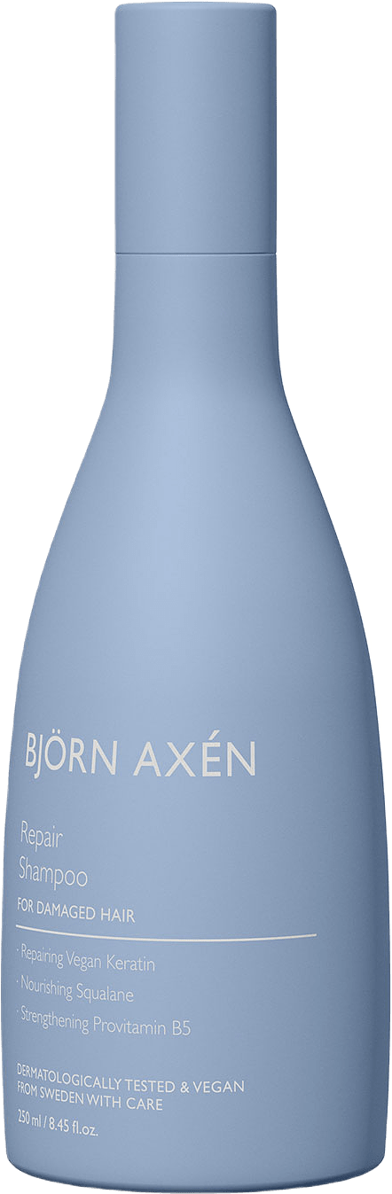 Björn Axén Repair Shampoo