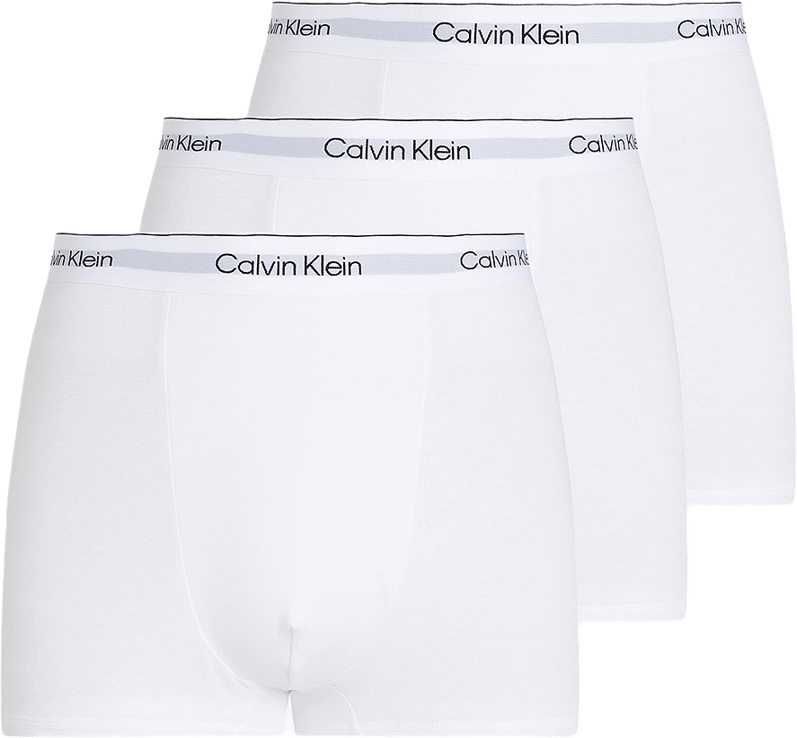 Relaxed Dart Trunk 3-Pack
