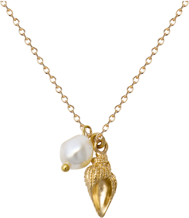 Shell Pearl Necklace