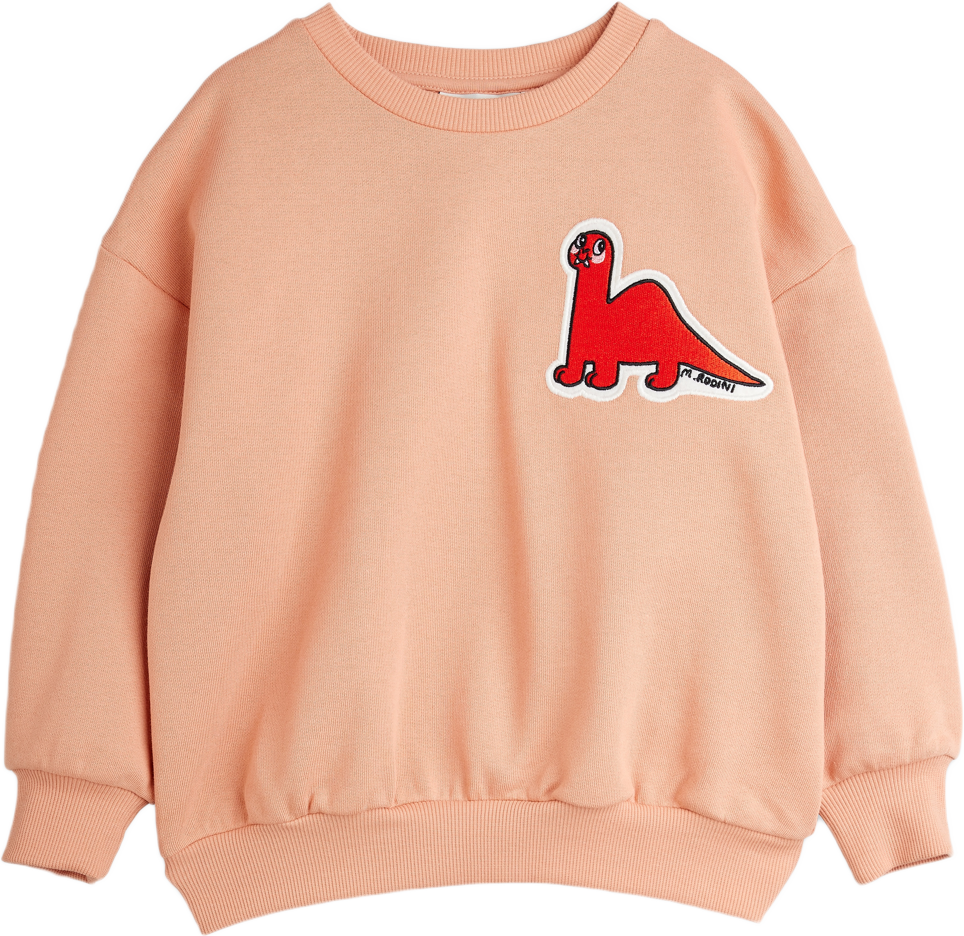 Dino Patch Sweatshirt