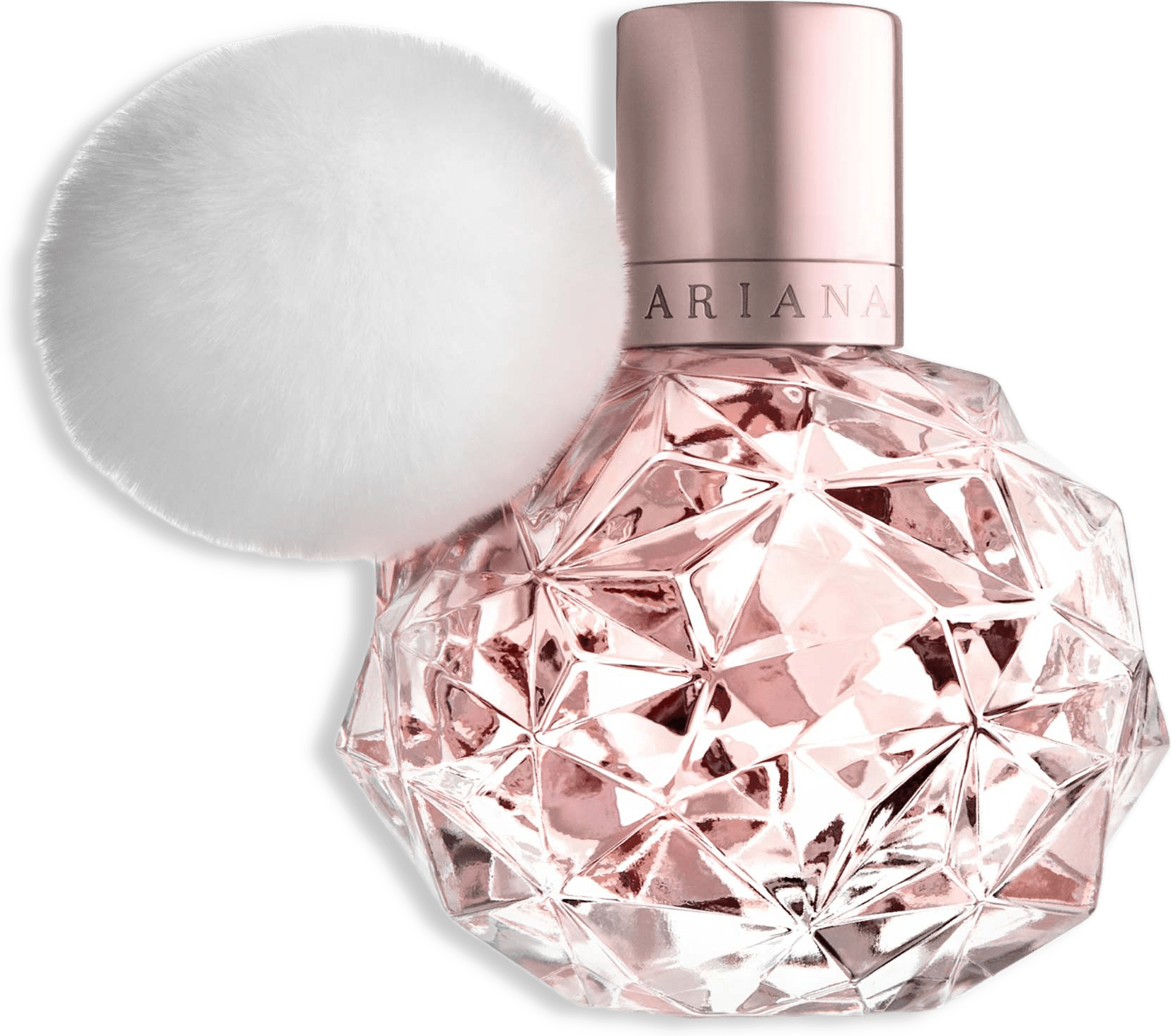 Ari EdP