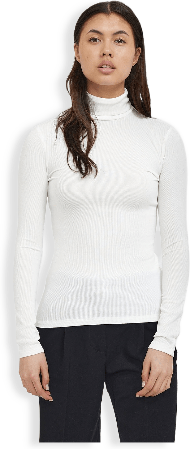 Srfenja Rollneck