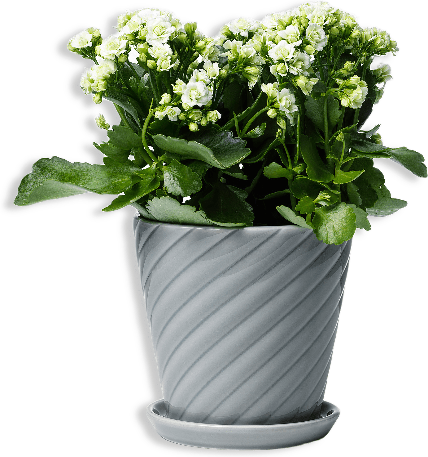 Sigrid Blomkruka Och Fat