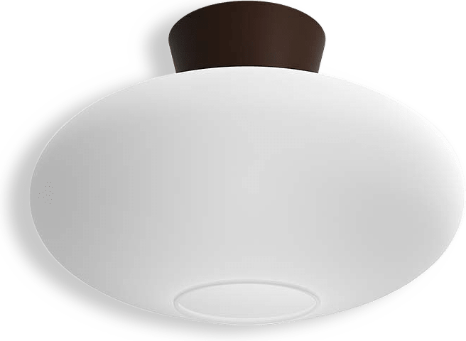 Plafond Bullo Xl Ø38