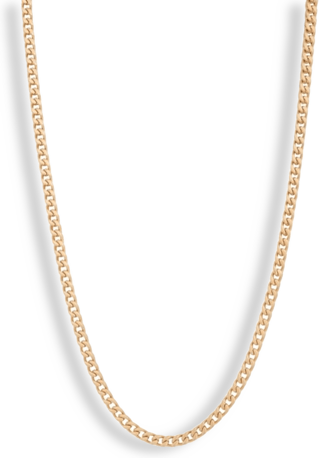 Harker Steel Necklace Gold