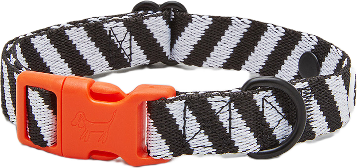 Zebra Hundhalsband, från Barkalot, i färgen zebra.