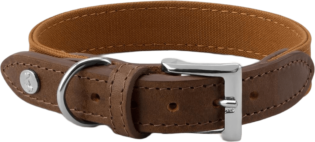 Hundhalsband Signature, från Denjo Dogs, i färgen mustard & brown.