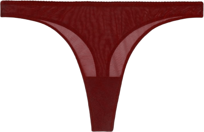 Mesh Thong