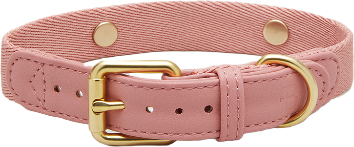 Veganskt Läder Hundhalsband, från Barkalot, i färgen pink.