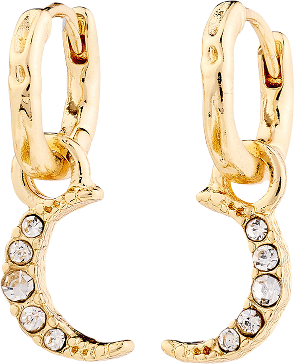 Evgenia Earrings, från Pilgrim, i färgen Gold Plated.