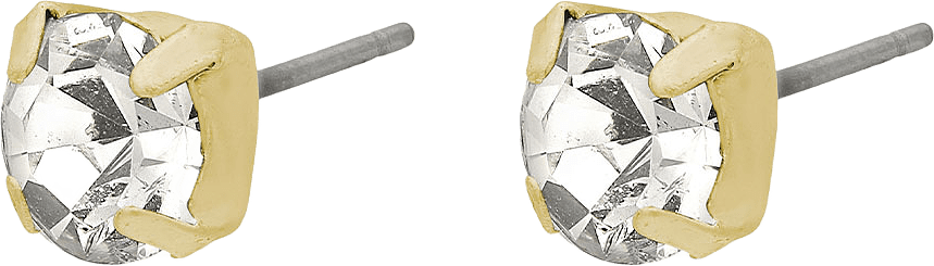 Classic Earrings, från Pilgrim, i färgen Gold Plated.