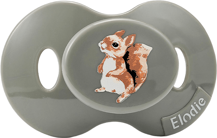 Pacifier, från Elodie Details, i färgen Chipmunk Darling.