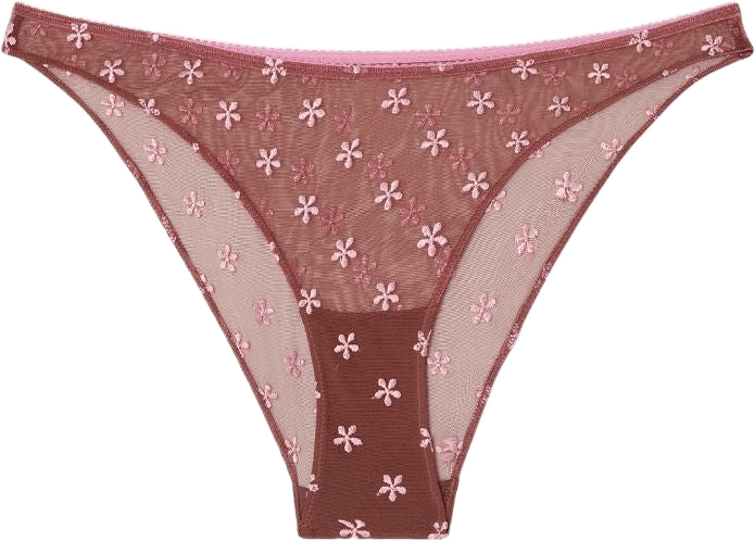 Mesh Bikini Briefs, från Understatement, i färgen mocha/candy pink.