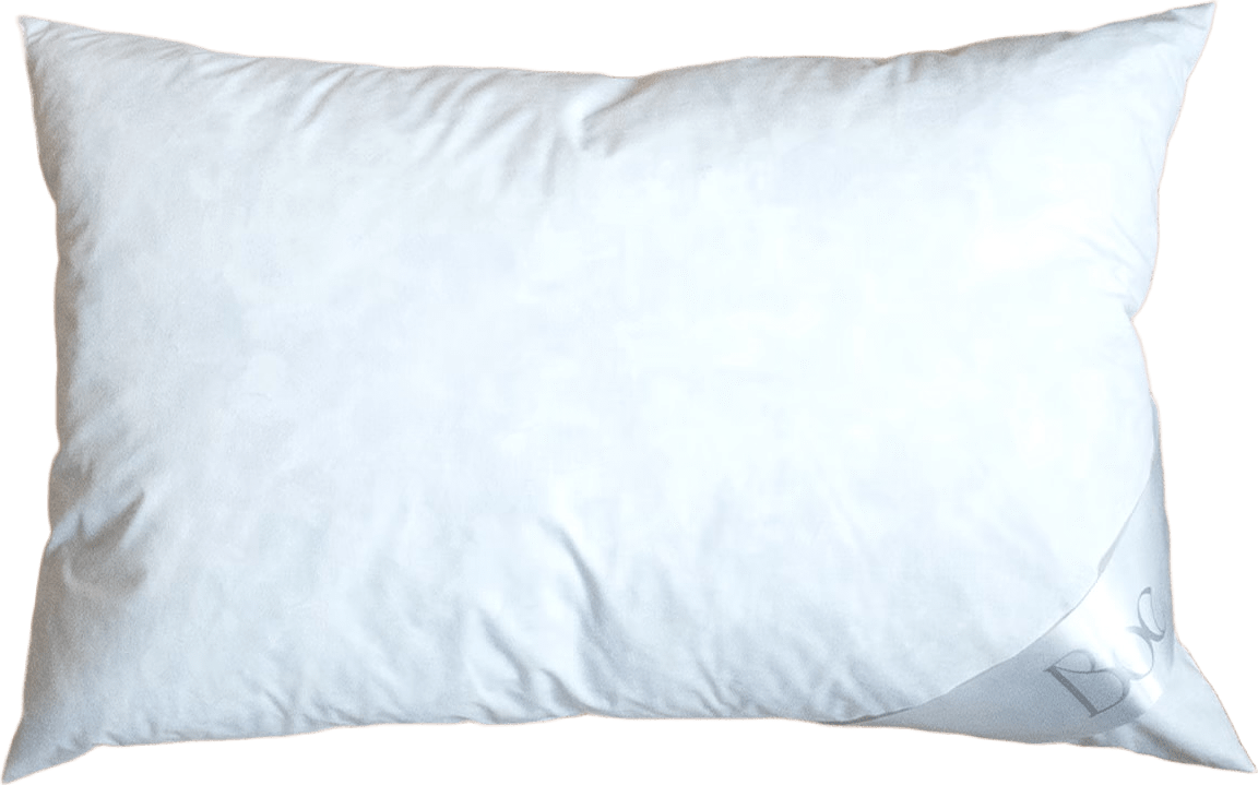 Harper Featherstone - Fjäderinnerkudde, 40x60cm, från Home of ESS, i färgen white.