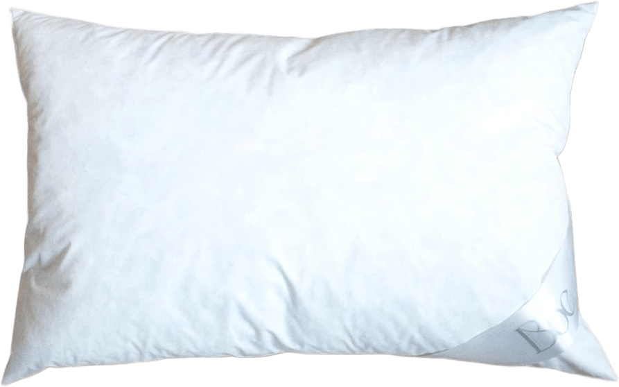 Harper Featherstone - Fjäderinnerkudde, 40x60cm, från Home of ESS, i färgen white.