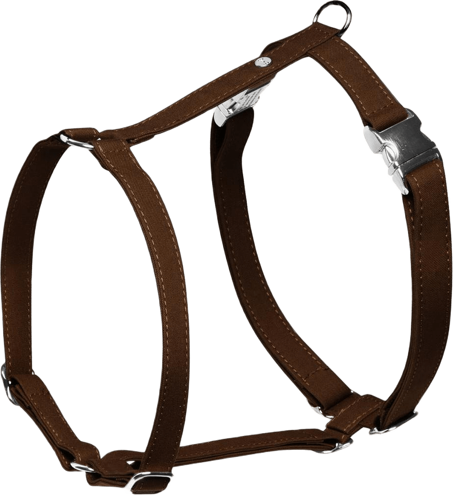 Hundsele Signature Go Chocolate - Denjo Dogs, från Denjo Dogs, i färgen chocolate.