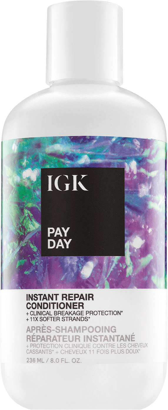 Pay Day Instant Repair Conditioner