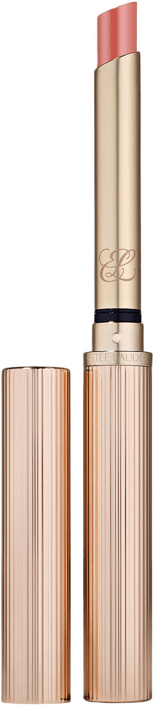 Pure Color Explicit Slick Shine Lipstick