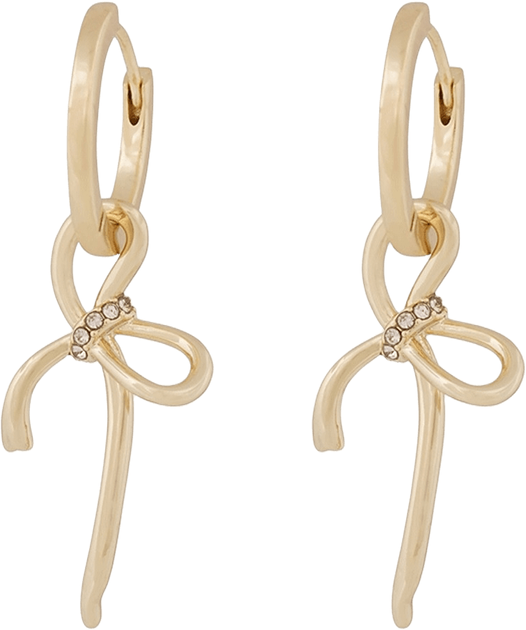 Ribbon Small Pendant Ear, från SNÖ of Sweden, i färgen g/clear.