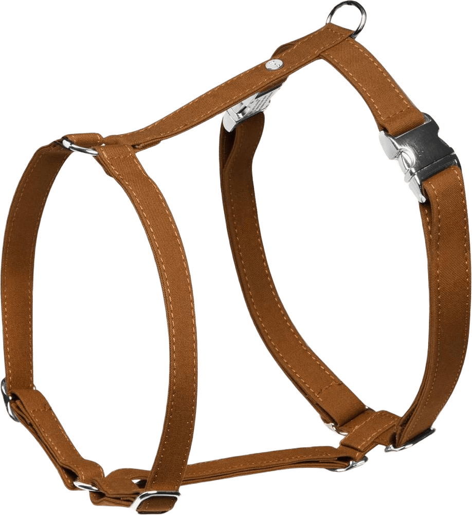 Hundsele Signature Go Chocolate - Denjo Dogs, från Denjo Dogs, i färgen mustard.