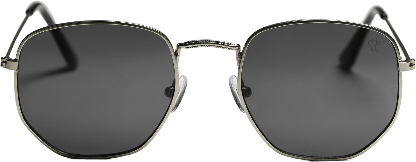 Ian, från CHPO, i färgen silver / black.