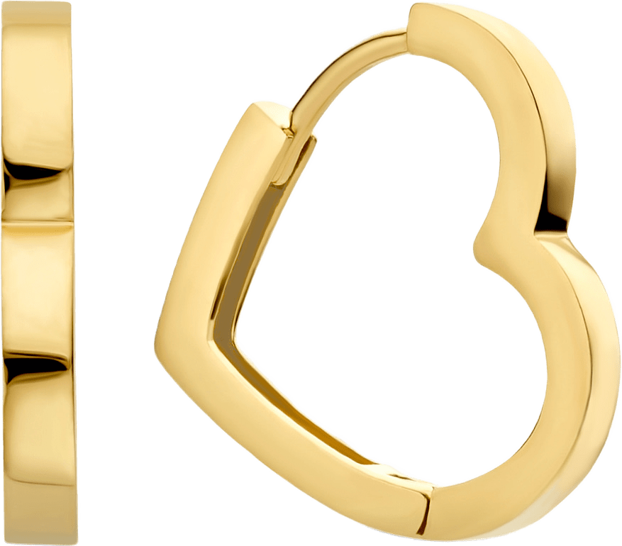 Belleville 14 Karat Guld Örhängen
